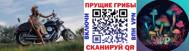 гидра ONION  Нефтекамск  Галлюциногенные грибы Psilocybe 